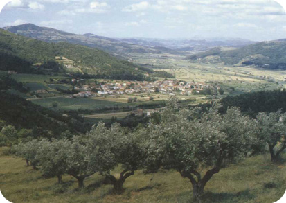 Mercatale and the Niccone Valley